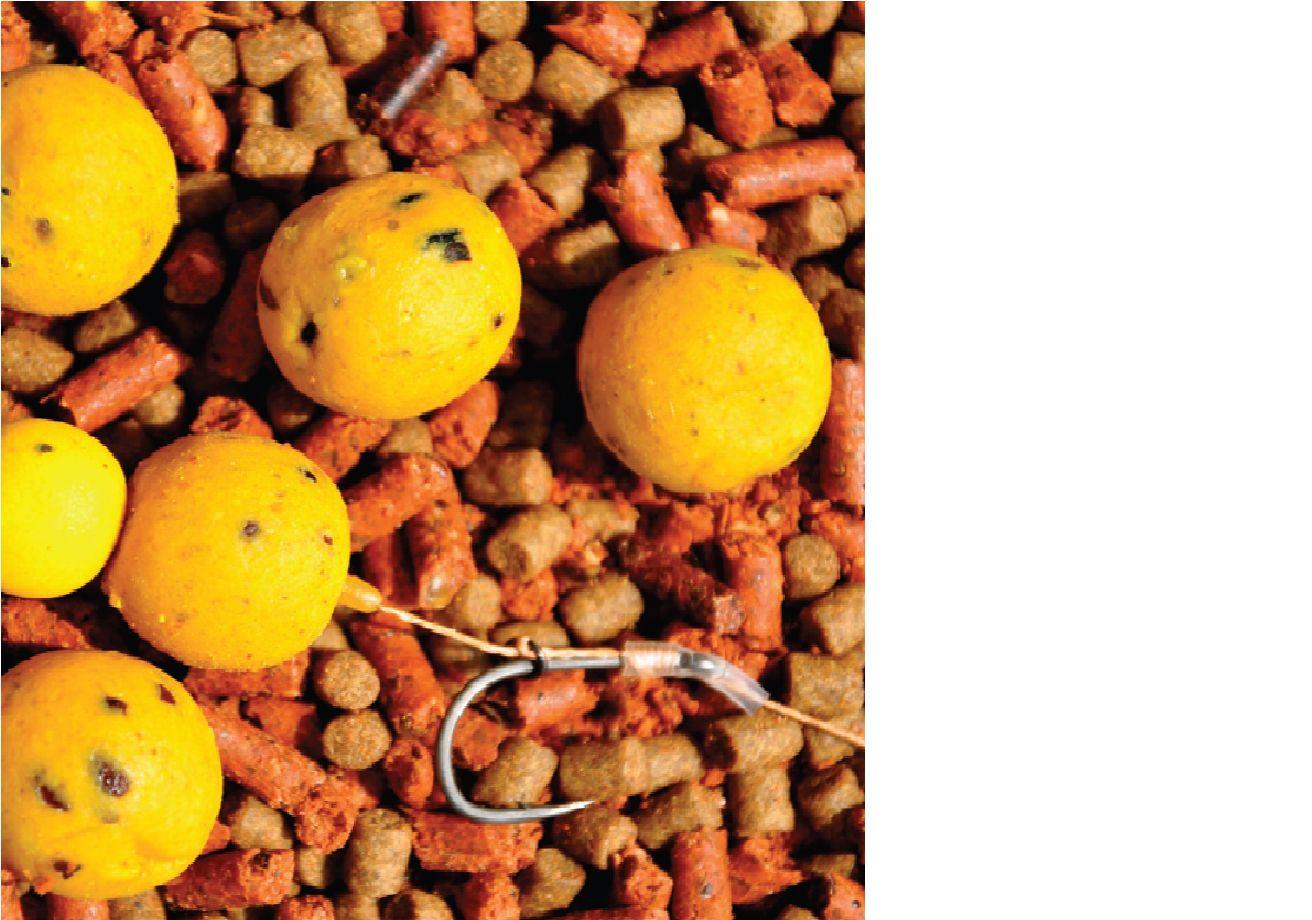 diverse - boilies-birdfood.jpg